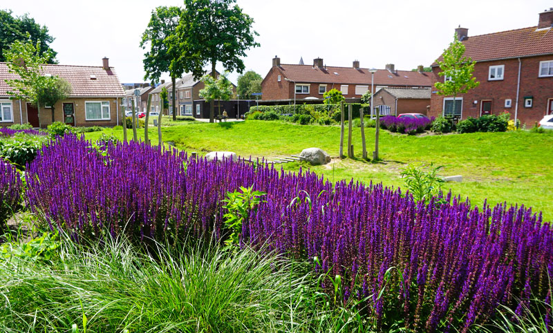 Zou jij (in de toekomst) willen verhuizen? Hoe wil jij dan wonen? En hoe wil jij wonen als je ouder wordt, minder gezond bent of zorg nodig hebt? Wij horen graag wat jouw woonwensen zijn!